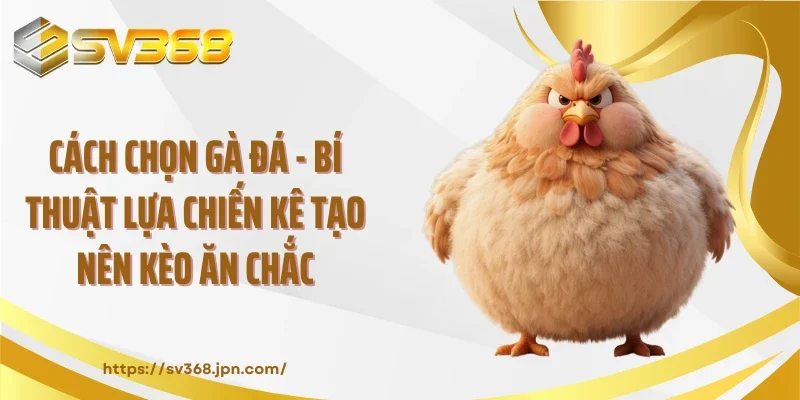 Cách Chọn Gà Đá - Bí Thuật Lựa Chiến Kê Tạo Nên Kèo Ăn Chắc