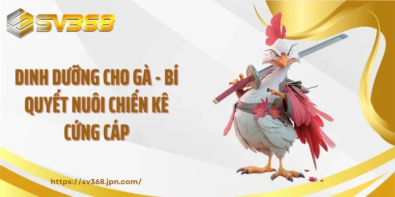 Dinh Dưỡng Cho Gà - Bí Quyết Nuôi Chiến Kê Cứng Cáp