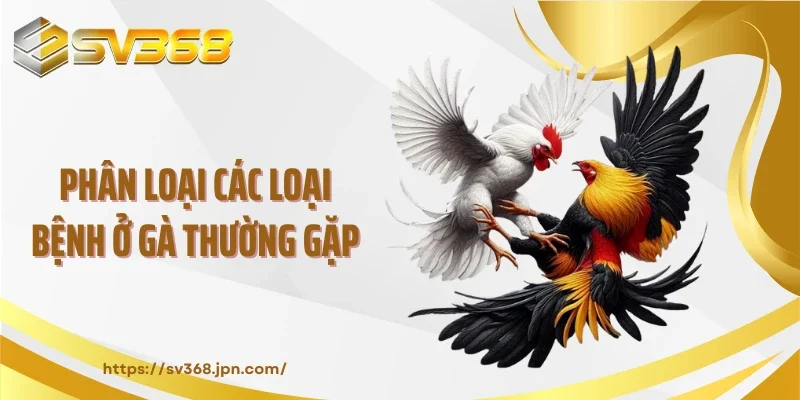 Phân loại các loại bệnh ở gà thường gặp