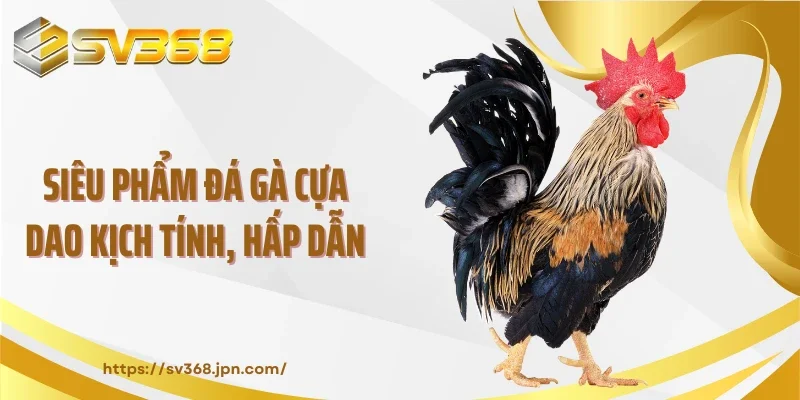 Siêu phẩm đá gà cựa dao kịch tính, hấp dẫn