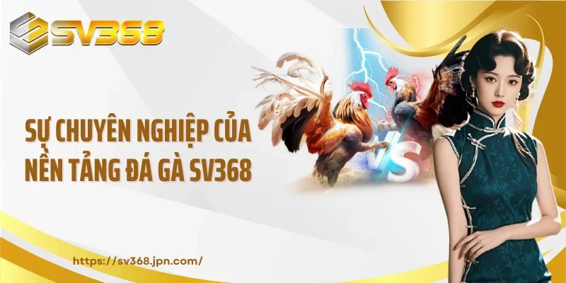 Sự chuyên nghiệp của nền tảng đá gà SV368