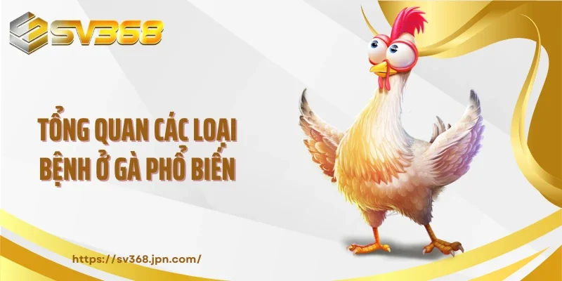 Tổng quan các loại bệnh ở gà phổ biến